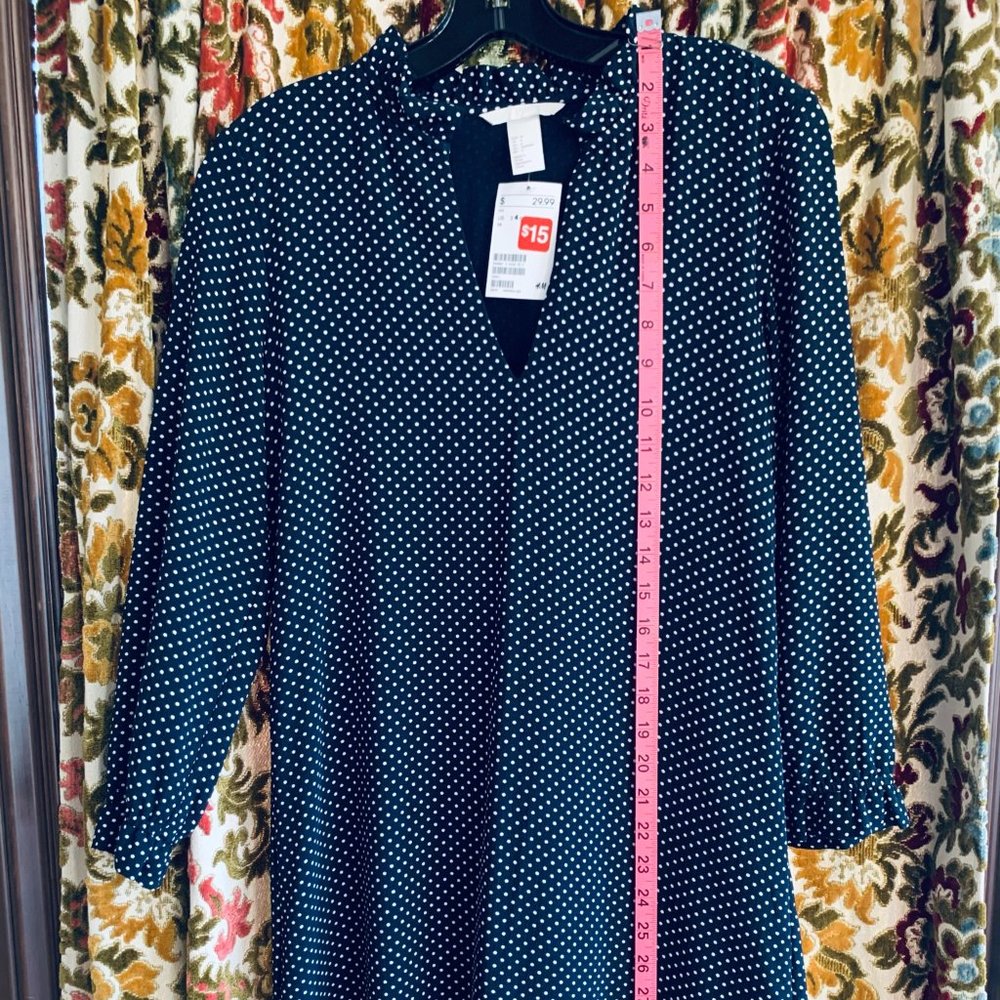 H&M Polka Dot Dress